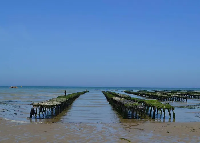 Pti Nel, Charmante Maison 100 M D 'asnelles Au Coeur Des Plages Du Debarquement Proche Arromanches Et Bayeux , Jardin, Terrasse En Bois Amenagee, Parking, Commerces Et Restaurants A 10 Mn A Pied Feriehus